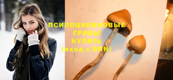 скорость Ельня