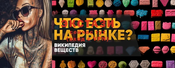 скорость Ельня