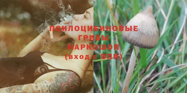скорость Ельня