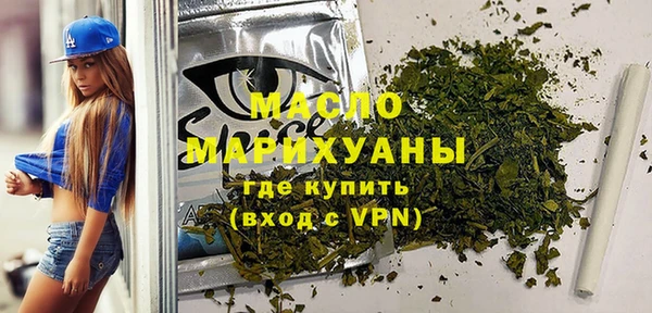 скорость Ельня