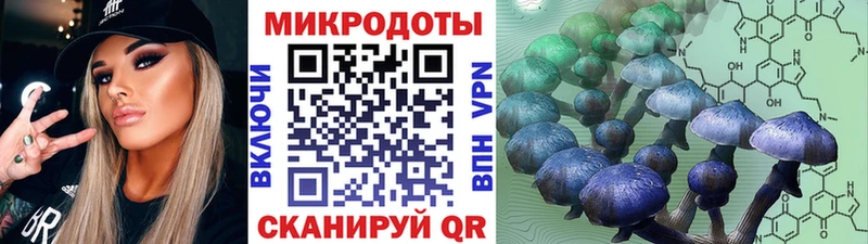 Купить где  Лабытнанги  Псилоцибиновые грибы Psilocybine cubensis 